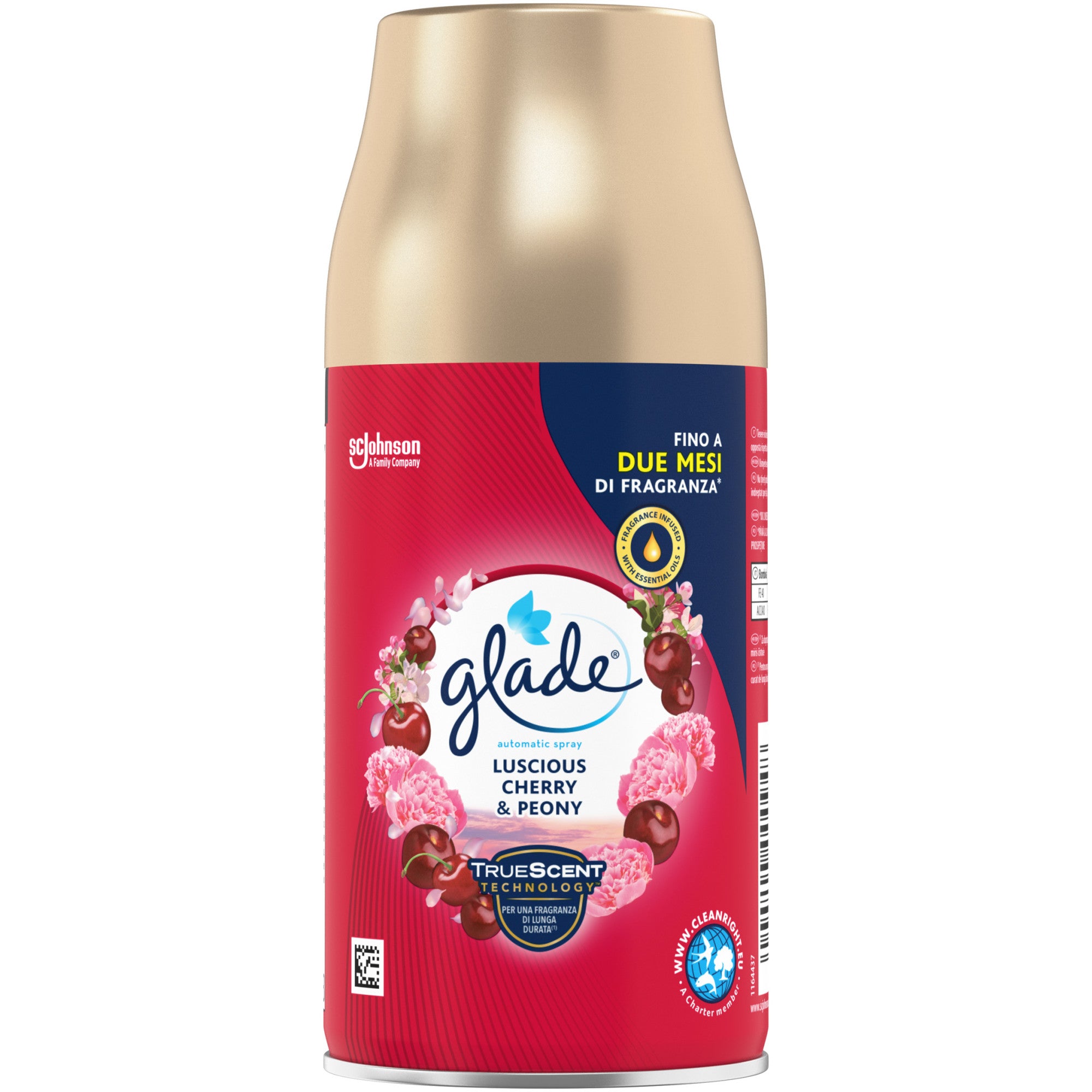 8444f965d96632c0288b4789c9246854